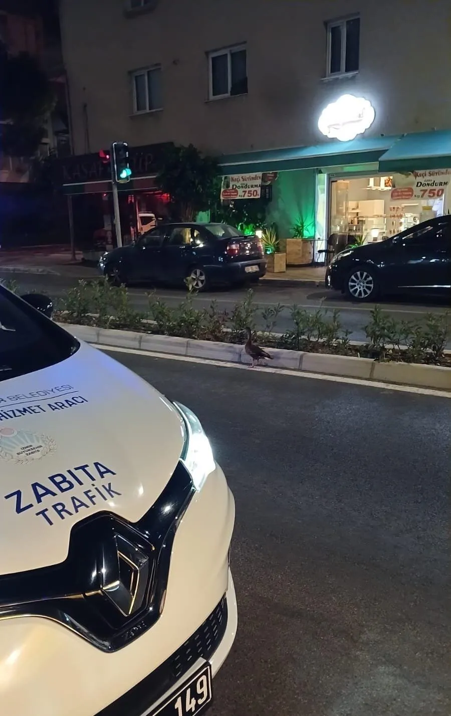 Karşıyaka’da duyarlı müdahale: Trafiği birbirine katan ördeği zabıta kurtardı