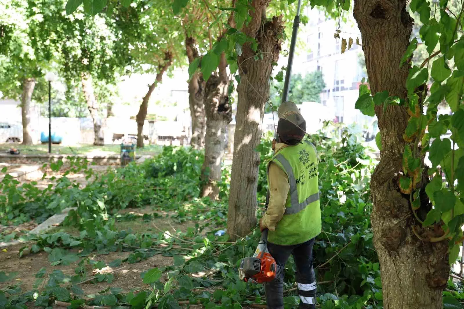 Efeler'de parklar çiçek gibi oldu: Gençlik Parkı yeni yüzüne kavuştu