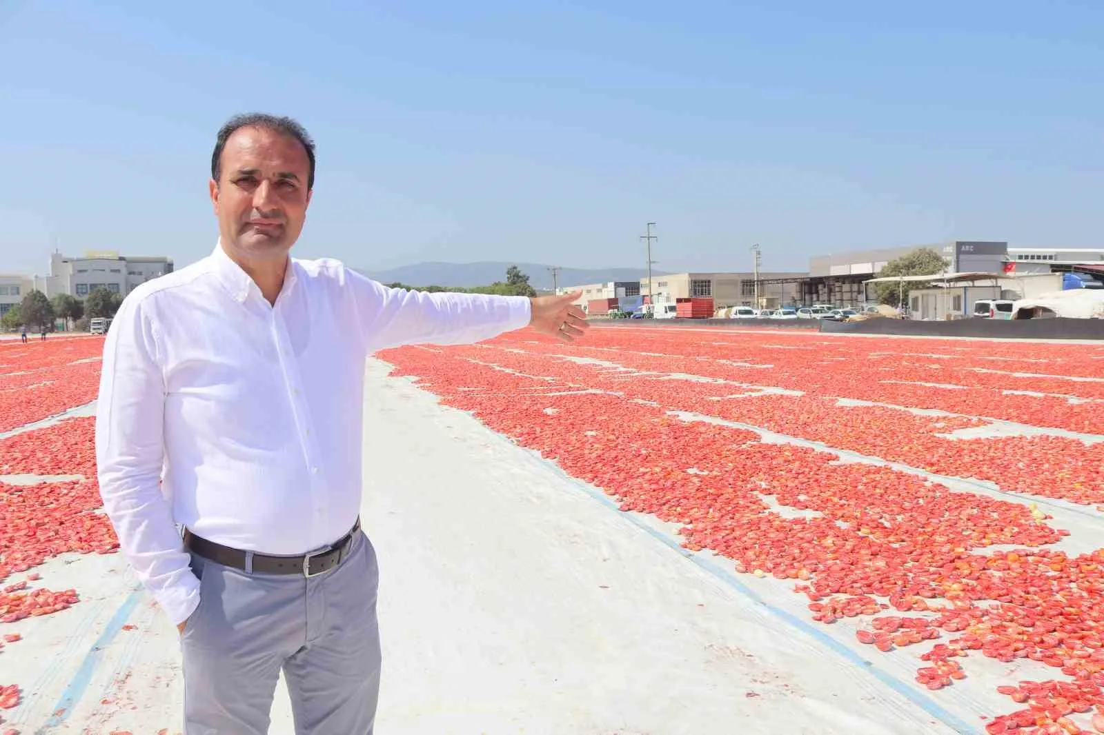 İtalyan mutfağının gizli kahramanı Torbalı’dan çıkıyor: Kuru domatesin rotası dünya