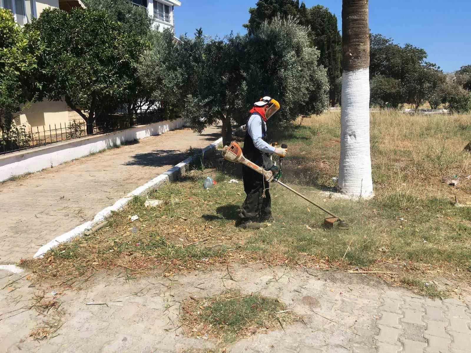 Didim’in parkları kendi seralarından gelen çiçeklerle renkleniyor