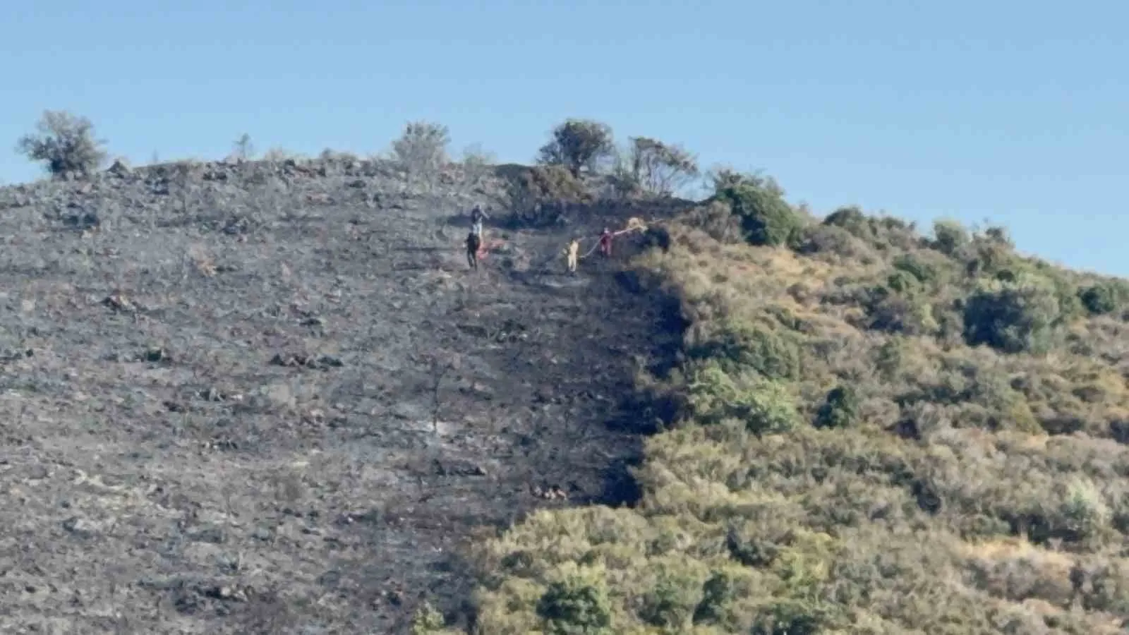 Bodrum Dereköy’de korkutan yangın: Ekipler havadan ve karadan müdahale etti
