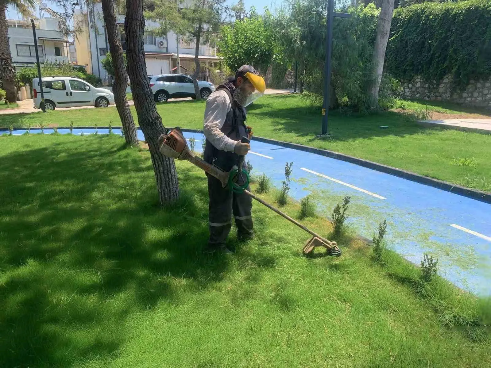 Didim’in parkları kendi seralarından gelen çiçeklerle renkleniyor