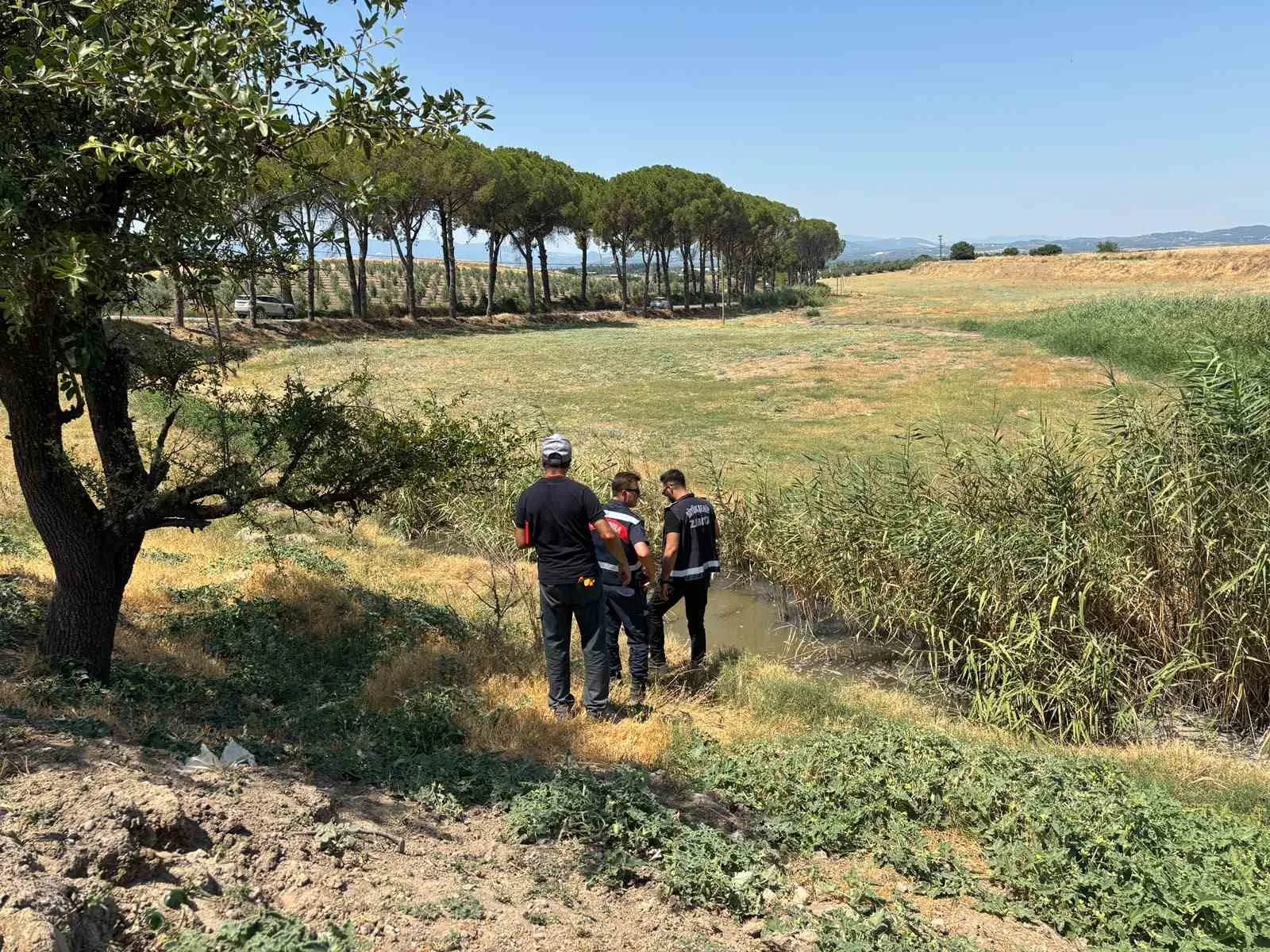 Saruhanlı'da doğa katliamına suçüstü: Tavuk çiftliğinin kirli oyunu deşifre oldu