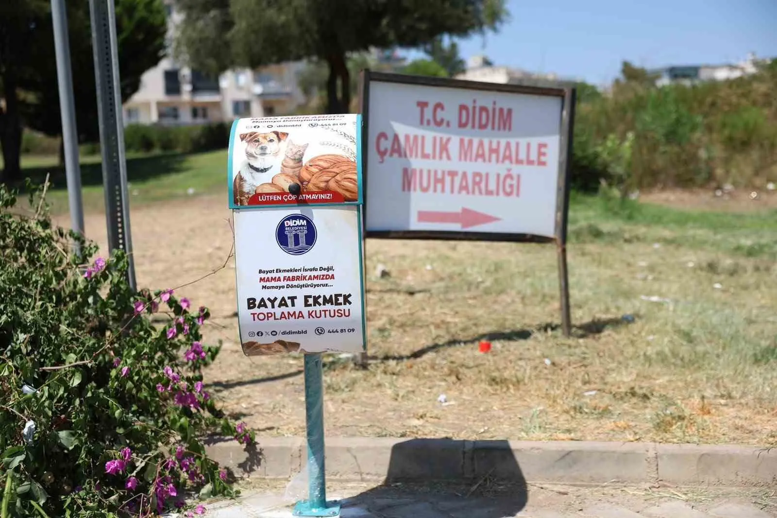 Didim'de bayat ekmekler çöpe değil can dostların sofrasına gidiyor