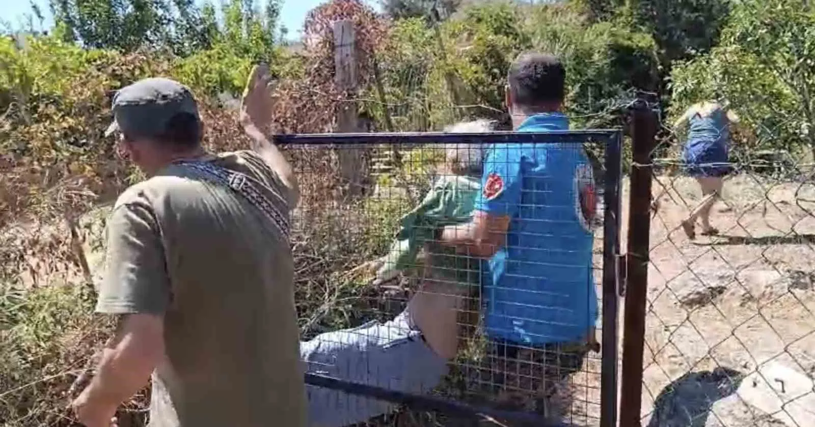 Bodrum’da korkunç olay: Kendini yakmak istedi, 10 hektarlık alanı küle çevirdi
