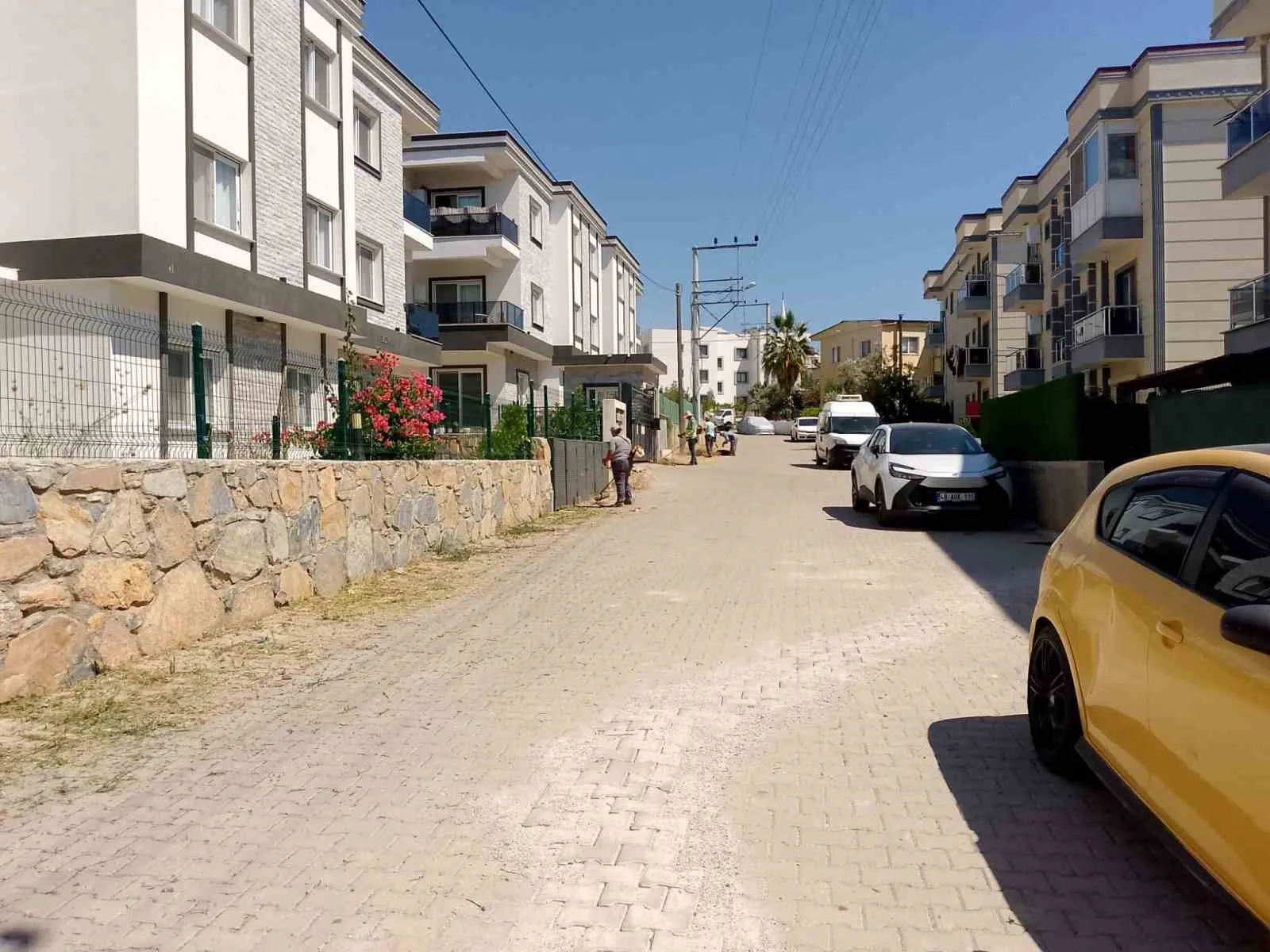 Bodrum’da yeşil alanlar için hummalı mesai: İki ayda devasa temizlik