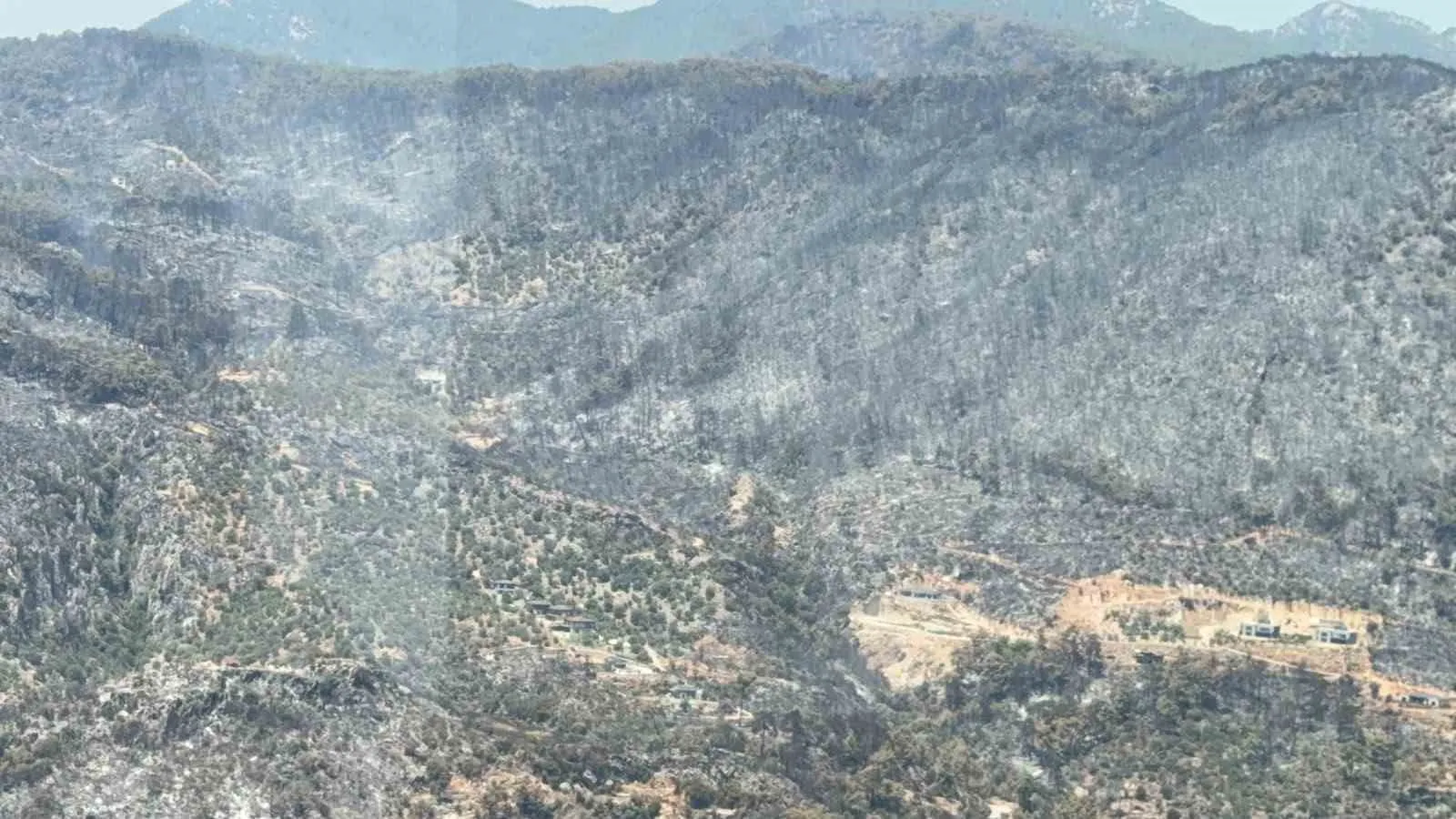 Fethiye'de orman yangını felaketi: Yemyeşil doğa yerini gri bir sessizliğe bıraktı