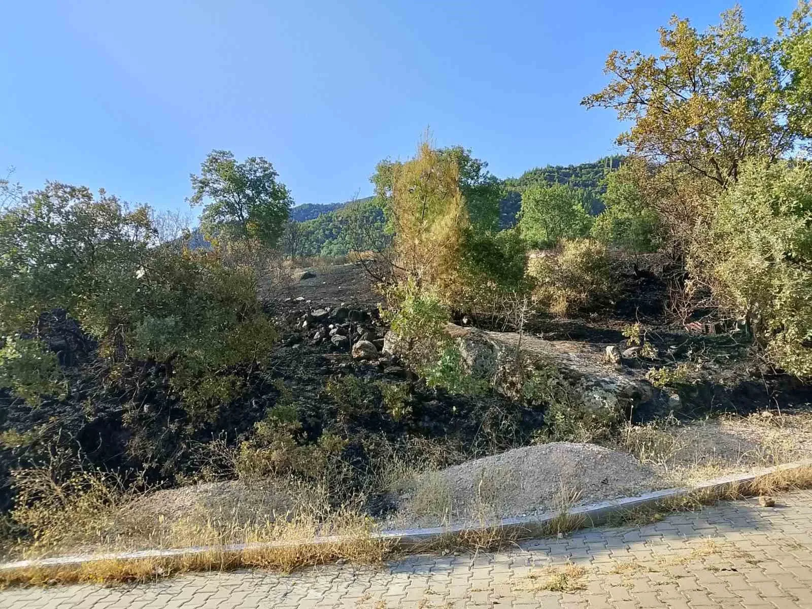 Bostanyeri’nde korkutan dumanlar: Ekipler ve halk omuz omuza verdi
