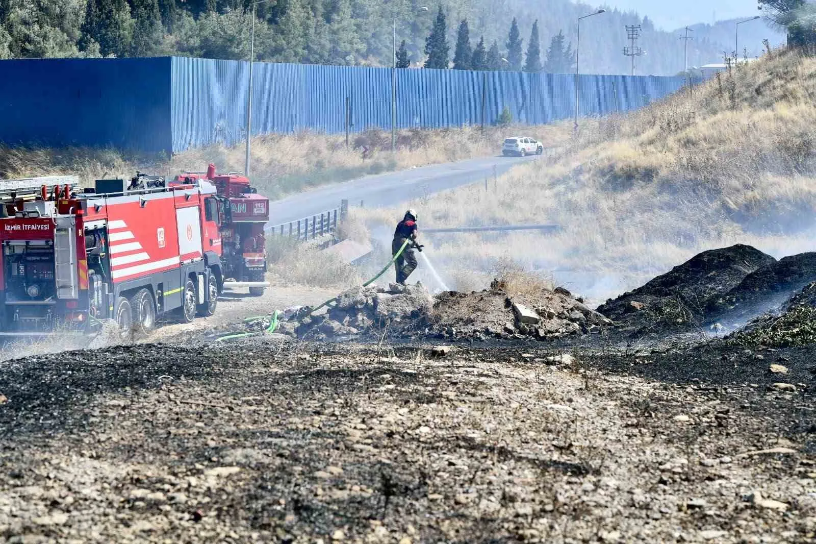 Alevlerin ortasında kalan minik canlıya itfaiye eli: Dumandan etkilenen bukalemun hayata döndü