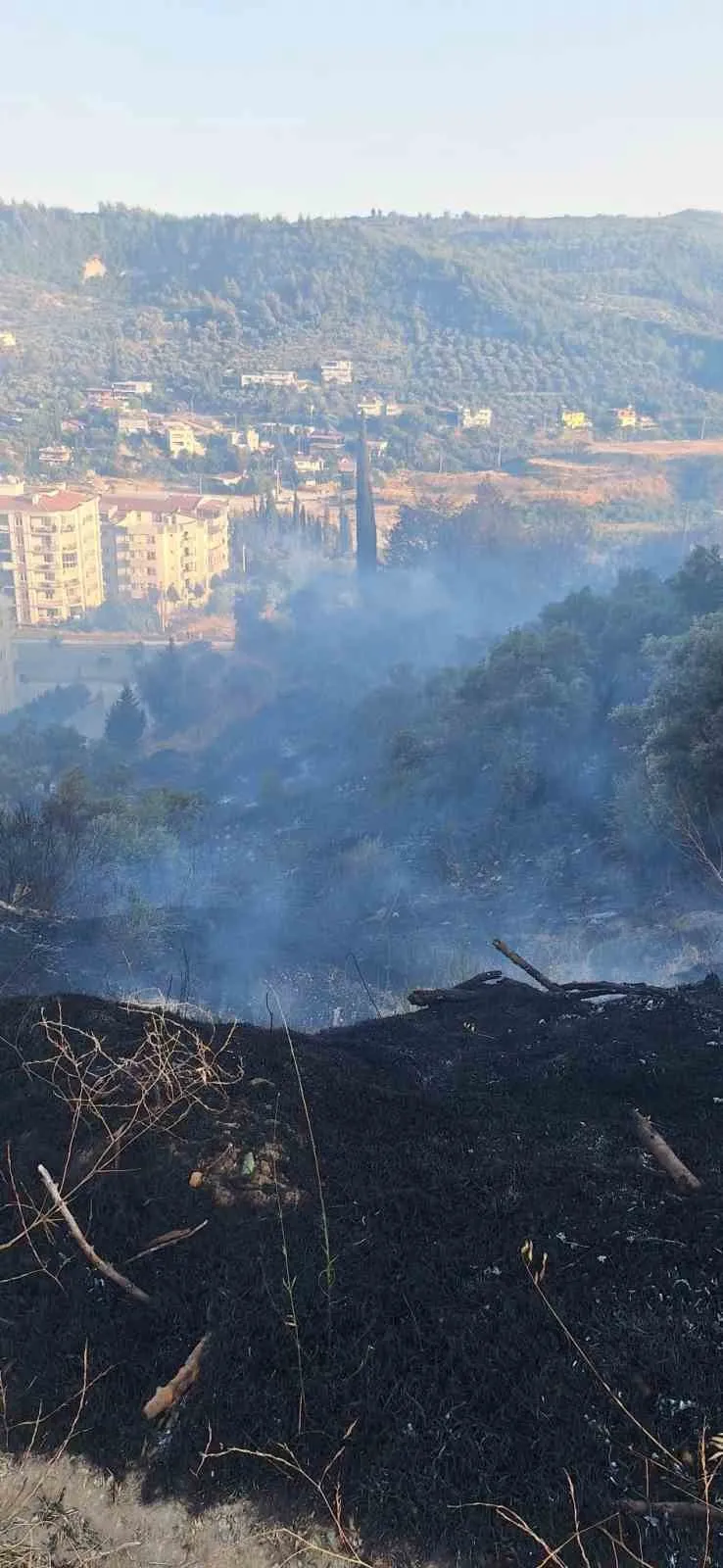 Söke'de alevler konutları teğet geçti: Ekipler seferber oldu