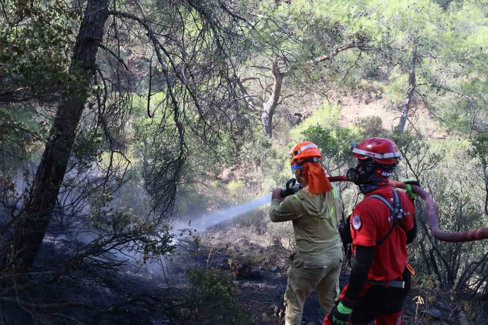 Fethiye ormanlarında gece başlayan kabus: Ekipler alevlerle amansız bir mücadele veriyor
