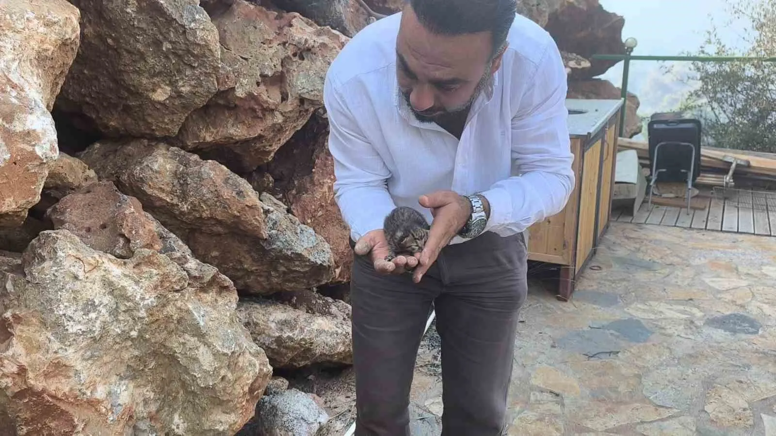 Fethiye yangınında umut dolu anlar: Kayalıkların arasında sıkışan yavru kediye gazeteci şefkati