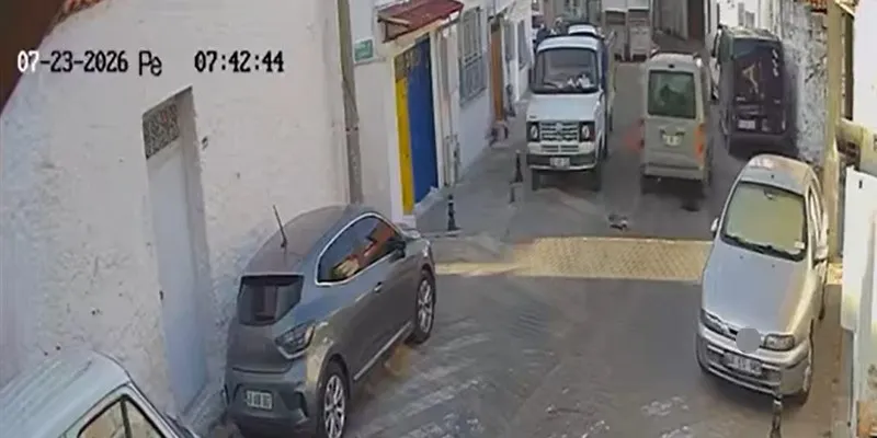 Menteşe’de kan donduran ihmal: Kedileri ezip yoluna devam etti