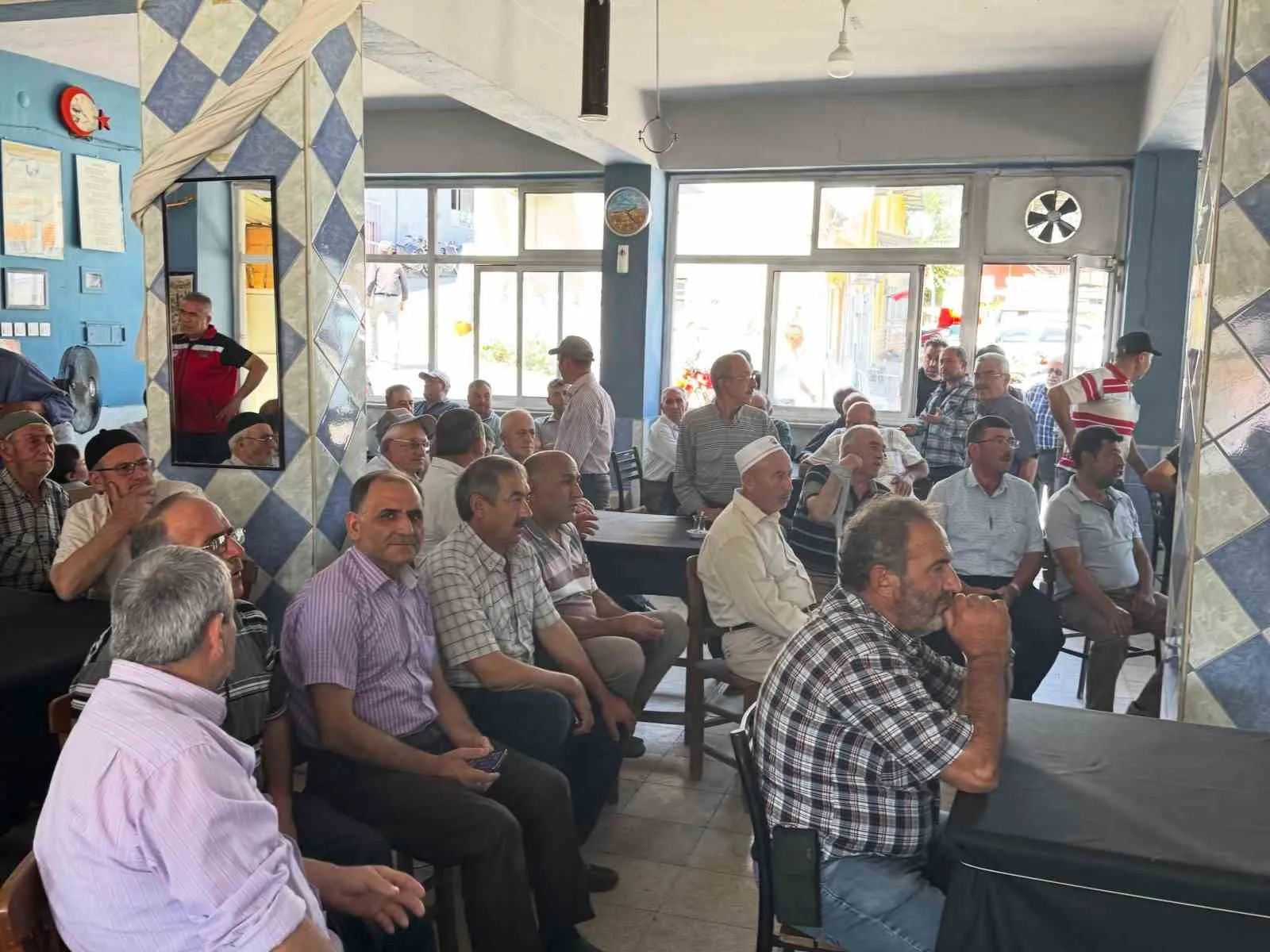 Efelerli çiftçiye kritik uyarı: Kestane gal arısıyla mücadele ve yeni mevzuat dönemi