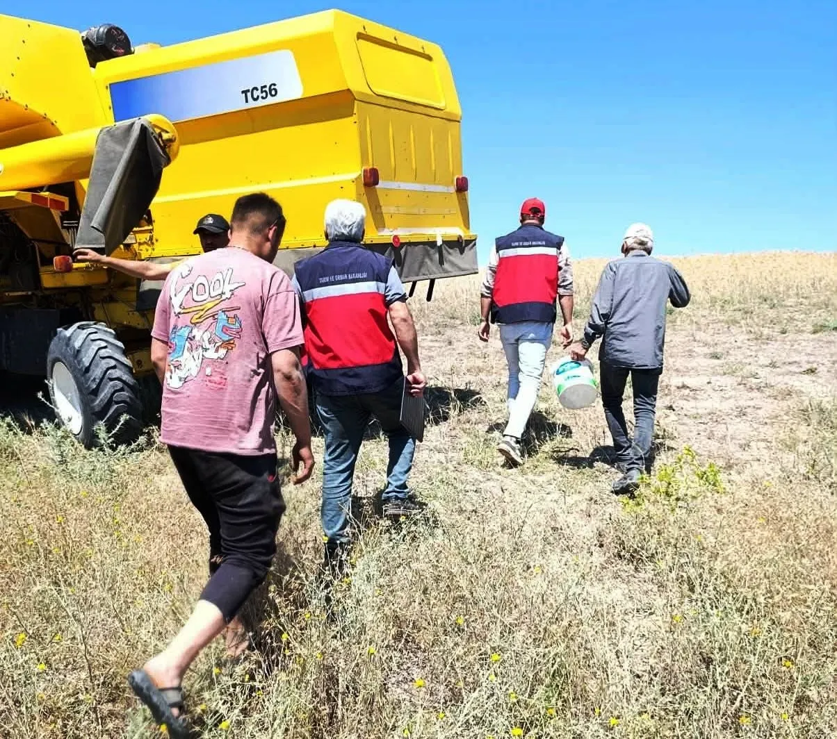 Tarlada kayıpsız hasat için denetim seferberliği: Gedizli çiftçinin ürünü güvence altında