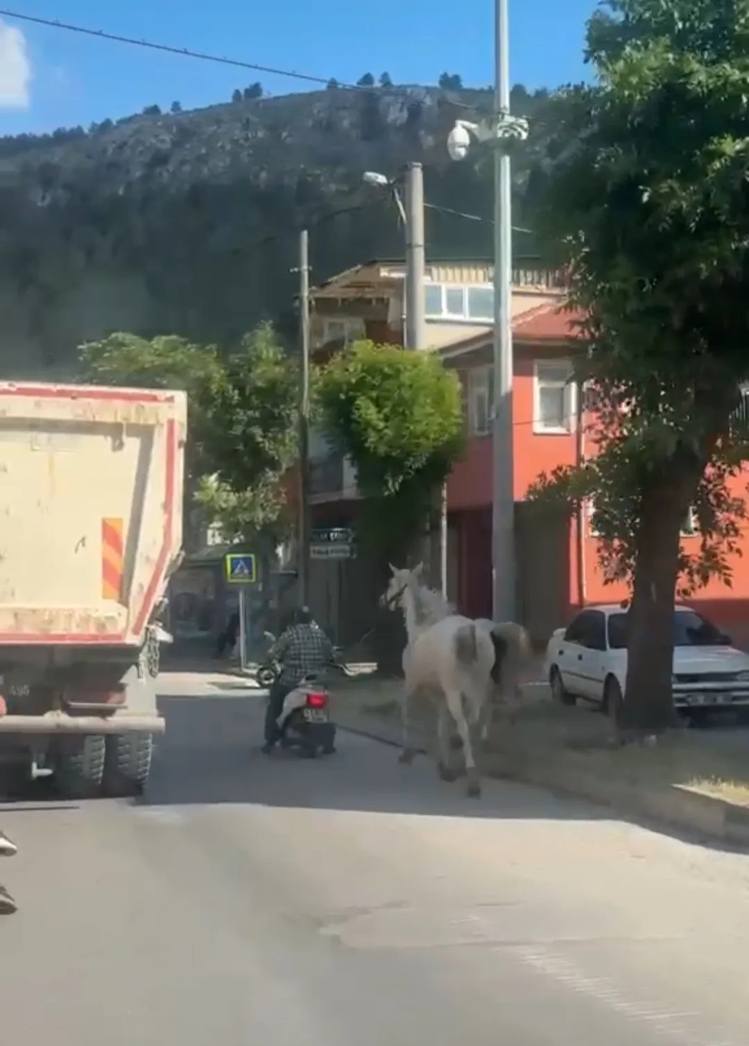 Kütahya sokaklarında tehlikeli yolculuk: Atları motosiklete bağlayıp trafiğe çıktı