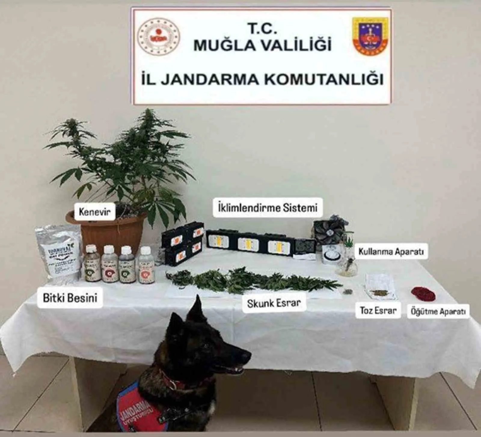 Muğla’da suç örgütlerine göz açtırılmadı: Haziran ayı bilançosu ağır oldu