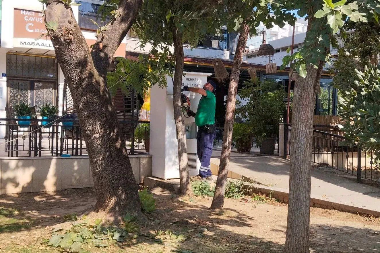 Efeler’de çevre düzenlemesi mesaisi: 7 Eylül Mahallesi yeni çehresine kavuştu