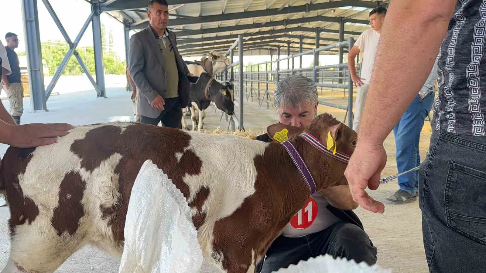Bolvadin’de podyumun en küçüğü devleşti: 40 günlük şampiyon ödülü kaptı
