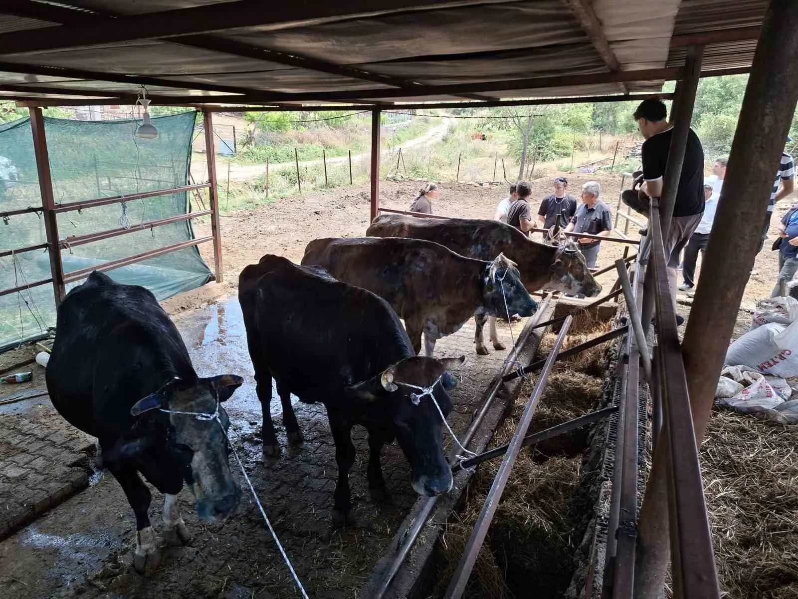 Alevlerin küle çevirdiği emekler Büyükşehir ile yeniden yeşeriyor