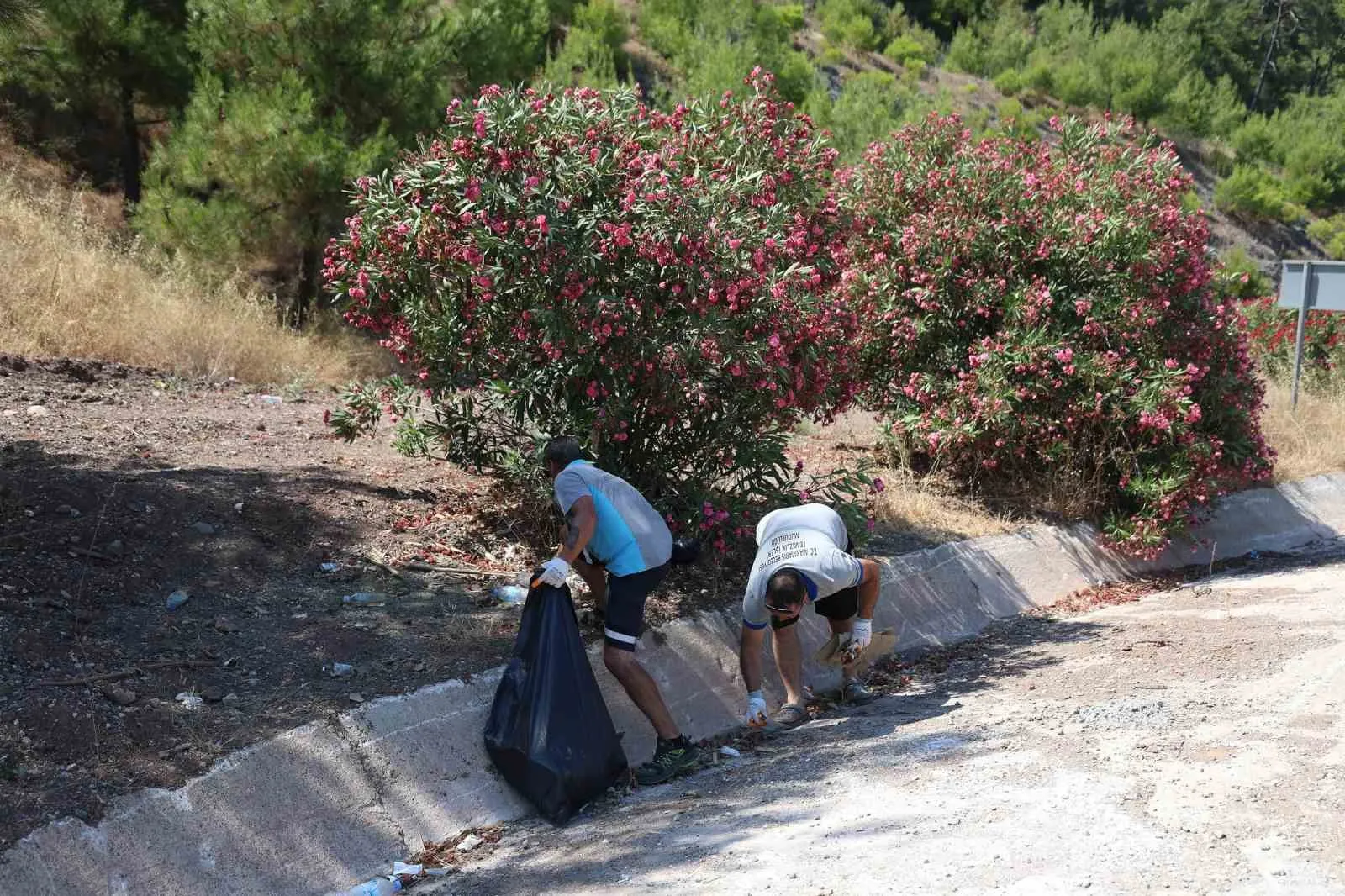 Marmaris’in zirvesinde çevre alarmı: Cam atıklar yangın davetiyesi çıkarıyor