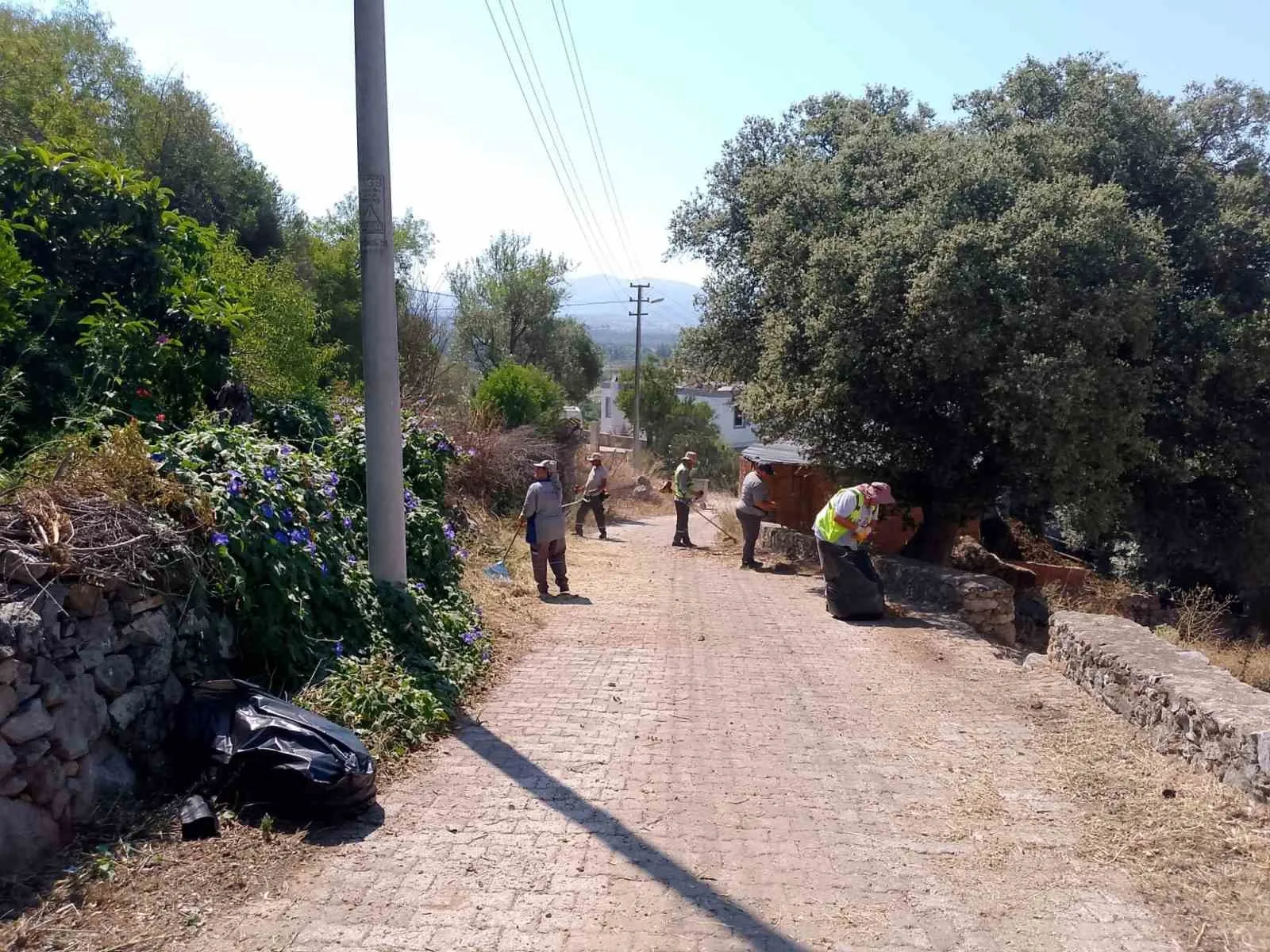 Bodrum’da yeşil alanlar için hummalı mesai: İki ayda devasa temizlik