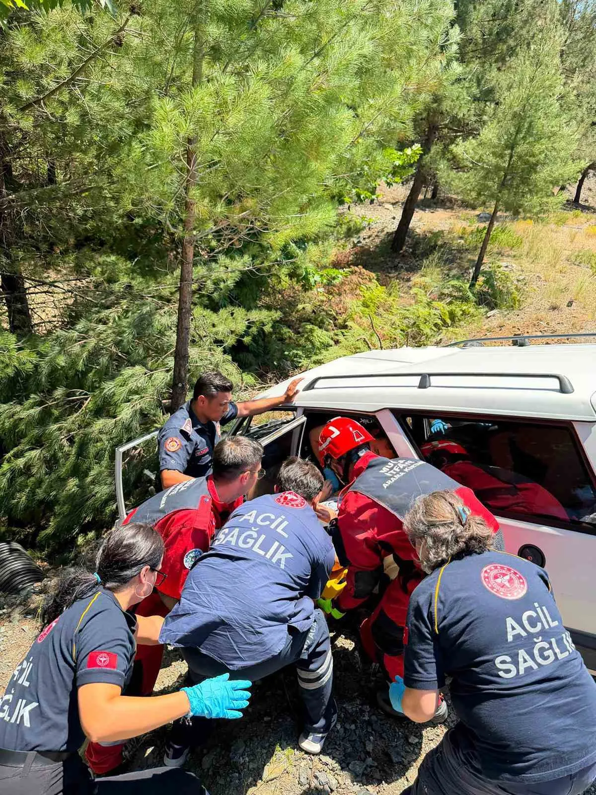 Direksiyon hakimiyeti kayboldu: Muğla yolunda ağaca çarpan araçta can pazarı