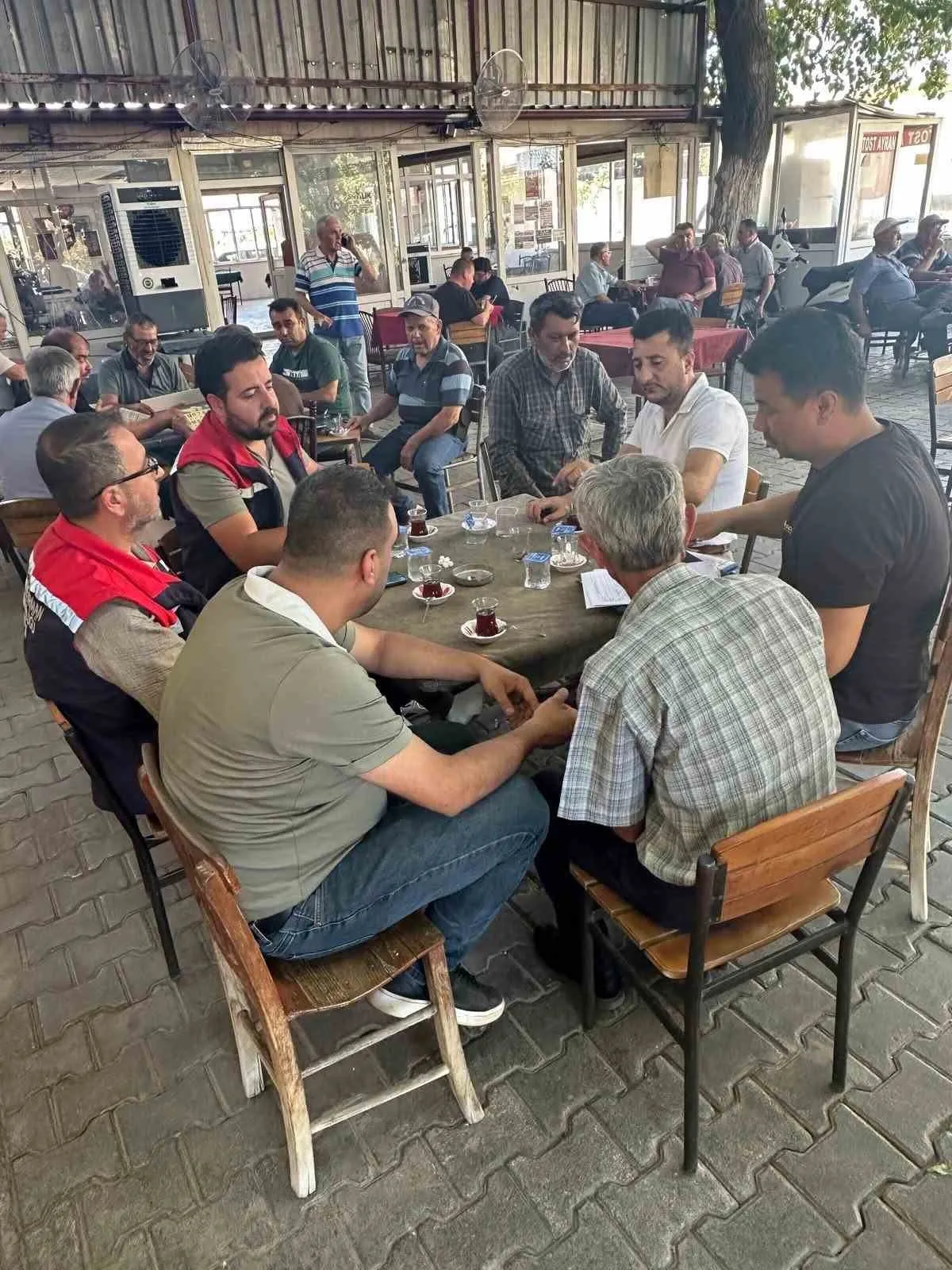 Aydın tarımında çözüm rotası: Uzmanlar sahaya indi, üreticiyle yüz yüze görüştü