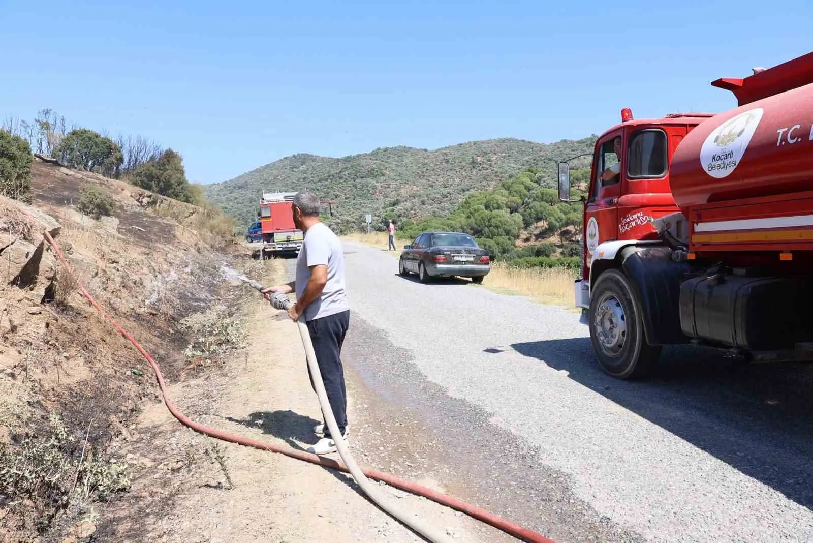 Koçarlı'da zeytinlik alarmı: Başkan Arıcı olay yerinde incelemelerde bulundu