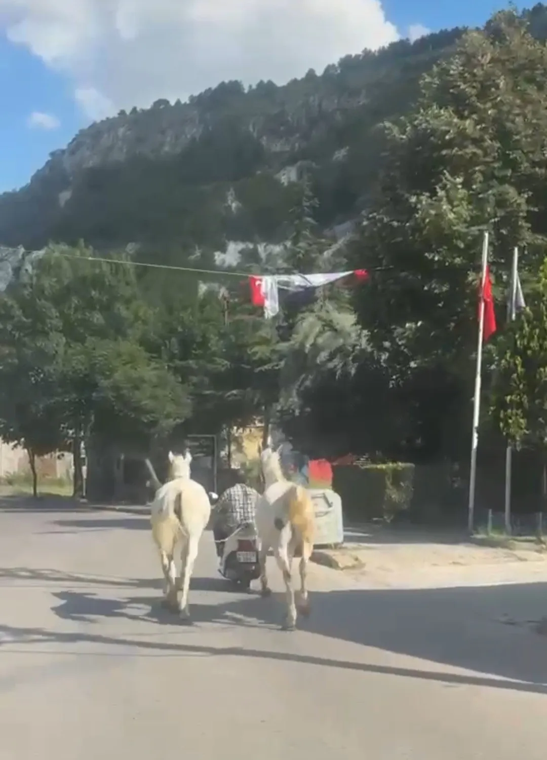 Kütahya sokaklarında tehlikeli yolculuk: Atları motosiklete bağlayıp trafiğe çıktı