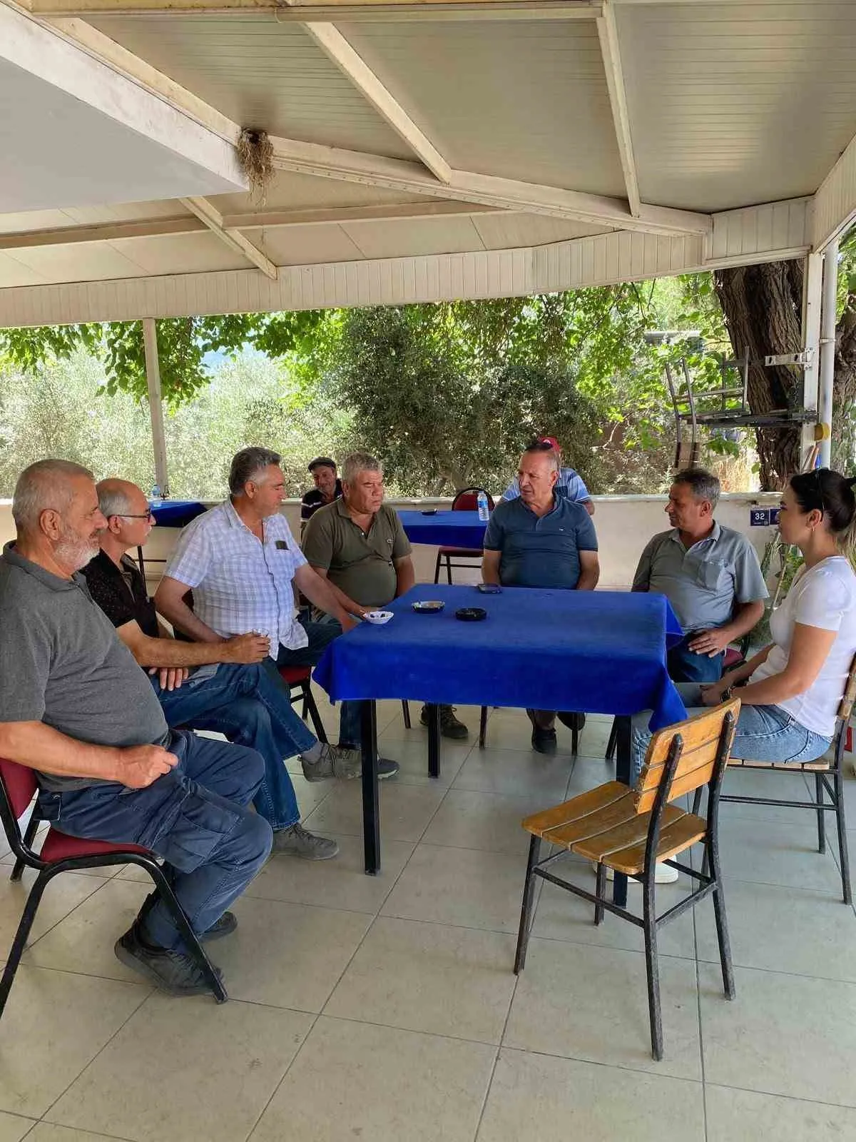 Didim pamuk tarlalarından sevindiren haber: Üreticinin gözü aydın