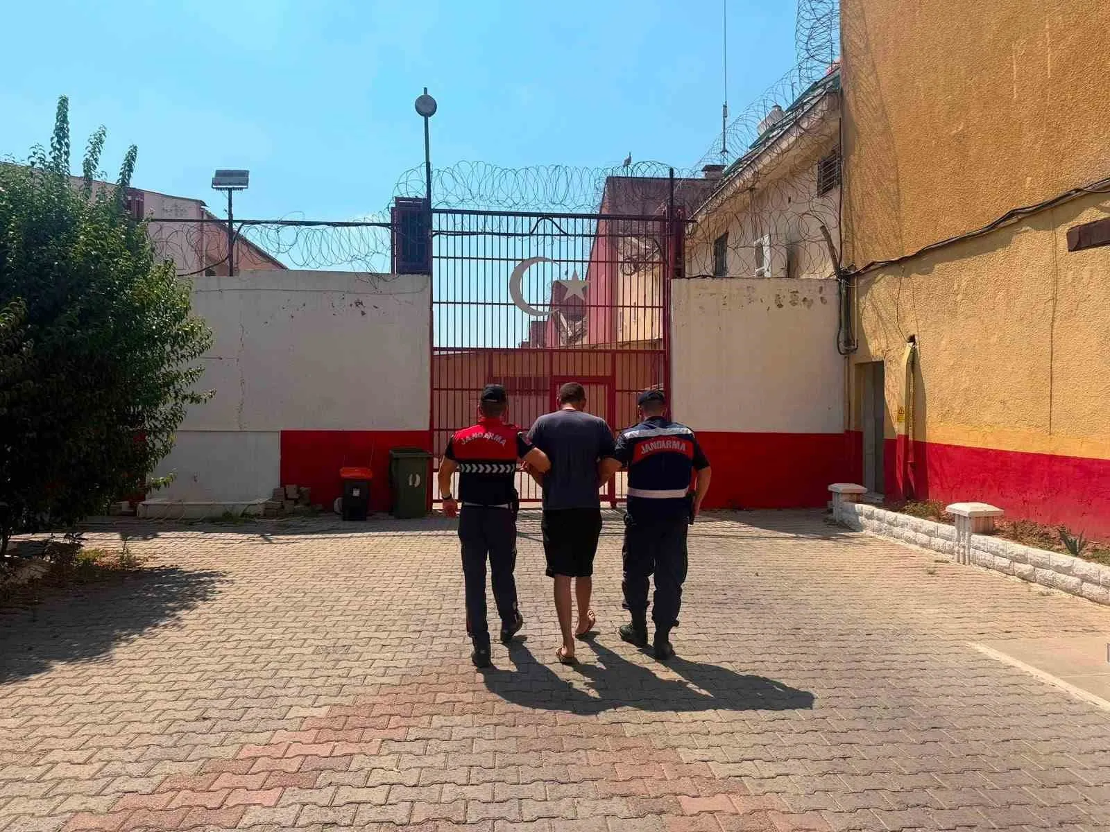 Koçarlı’da gece yarısı operasyonu: Çalınan koyunların bir kısmı bulundu