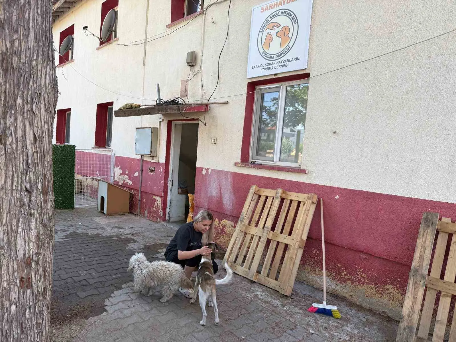 Sarıgöl’de patili dostlar için yeni dönem: Gönüllülerden dev seferberlik