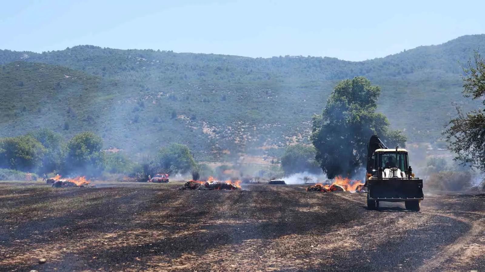 Muğla’da hasat mevsimi hüsranla bitti: Rüzgar alevleri saman balyalarına taşıdı