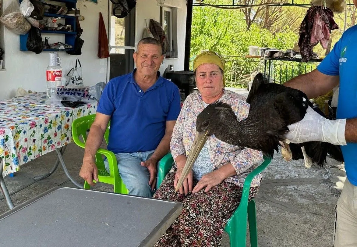 Latmos’un kanadı kırık misafirine vefalı el: Engelli eşine bakarken yaban hayatını da unutmadı