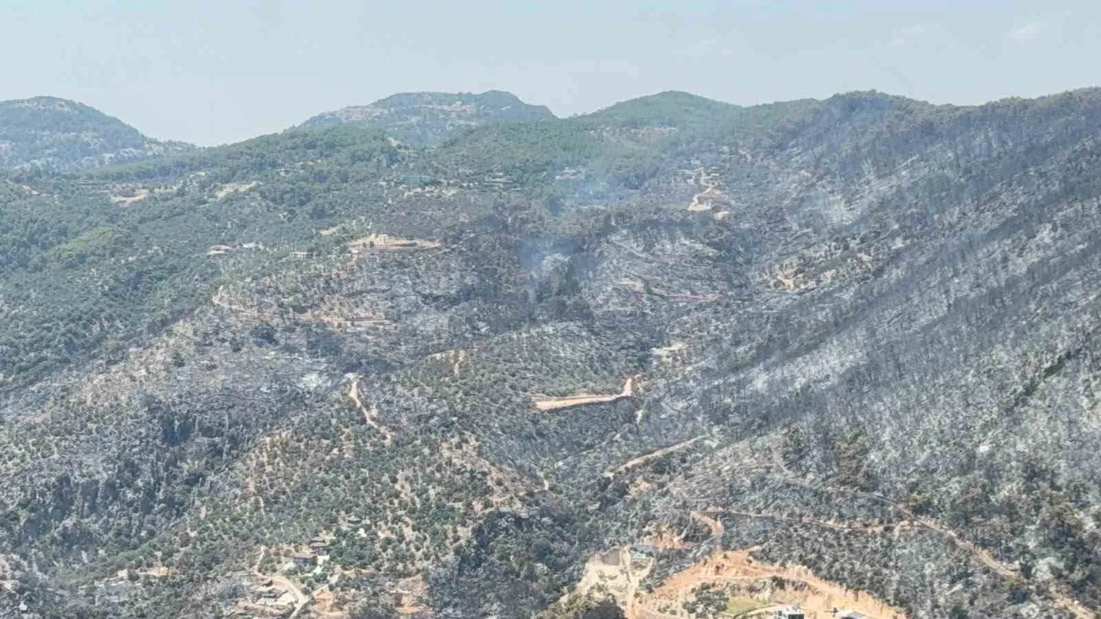 Fethiye'de orman yangını felaketi: Yemyeşil doğa yerini gri bir sessizliğe bıraktı