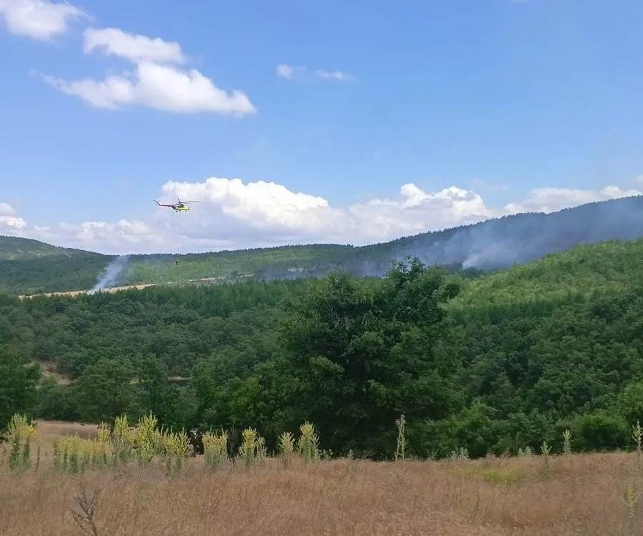 Kütahya'da korkutan yangın: Evden ormana sıçradı