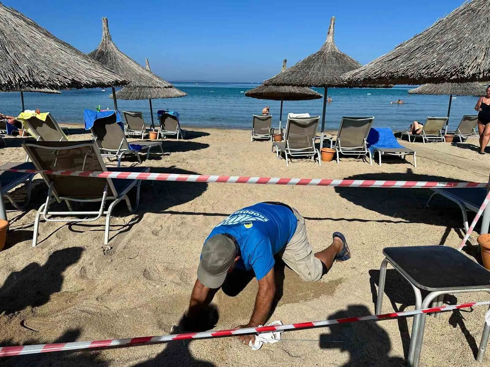 Didim sahillerinde sadakat örneği: Beş yıl aradan sonra aynı noktaya döndü