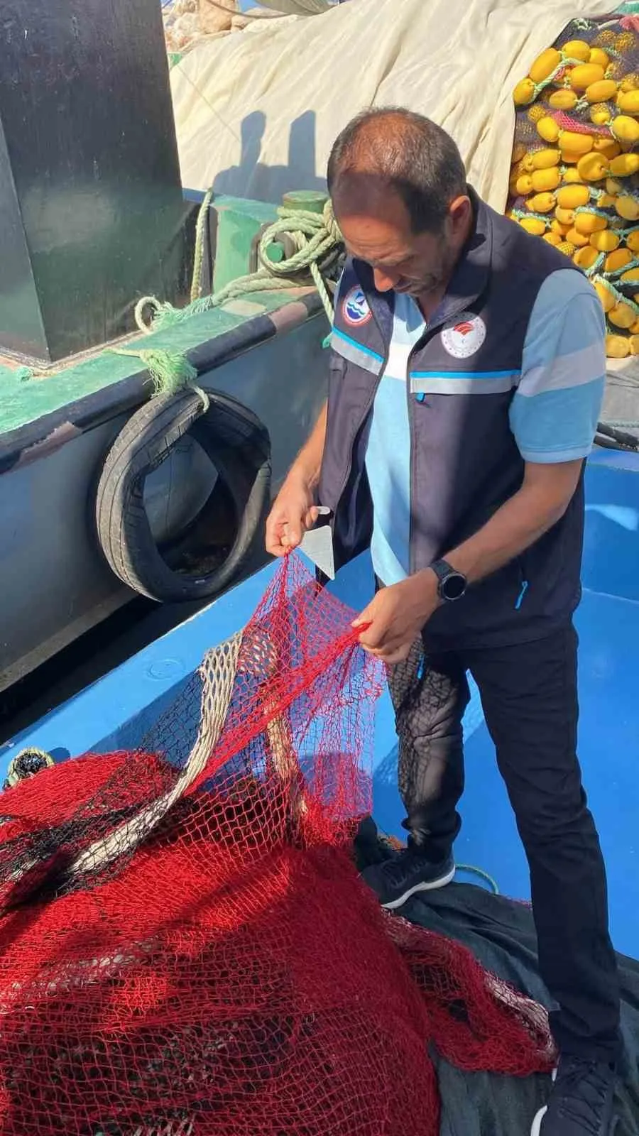 Didim'de deniz ekosistemi için kritik mesai: Ağlar tek tek incelendi