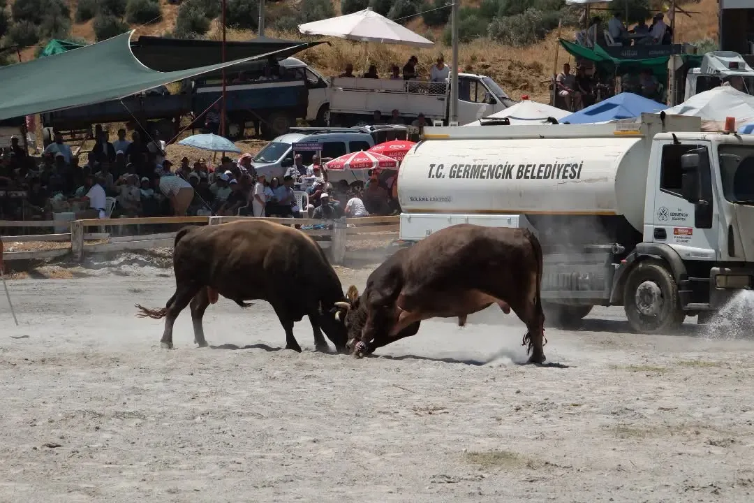 Germencik arenasında nefes kesen mücadele: Yörük geleneği 7. kez sahnede