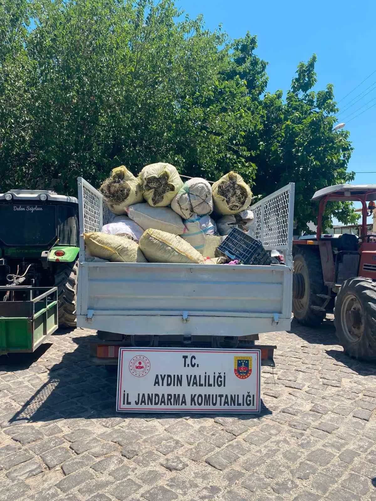 Didim’de doğaya kaçak müdahale: Jandarmadan eş zamanlı operasyon