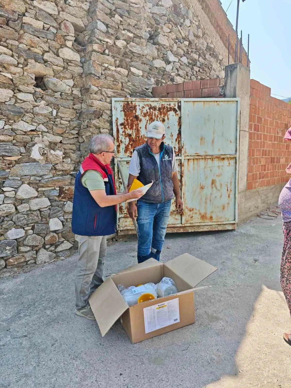 Aydın’da bahçeleri koruma seferberliği: Meyve sineğine karşı biyoteknik kalkan