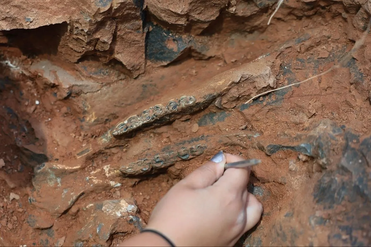 Milyonlarca yıllık sessizlik bozuldu: Tavas’ta tarih yeniden yazılıyor