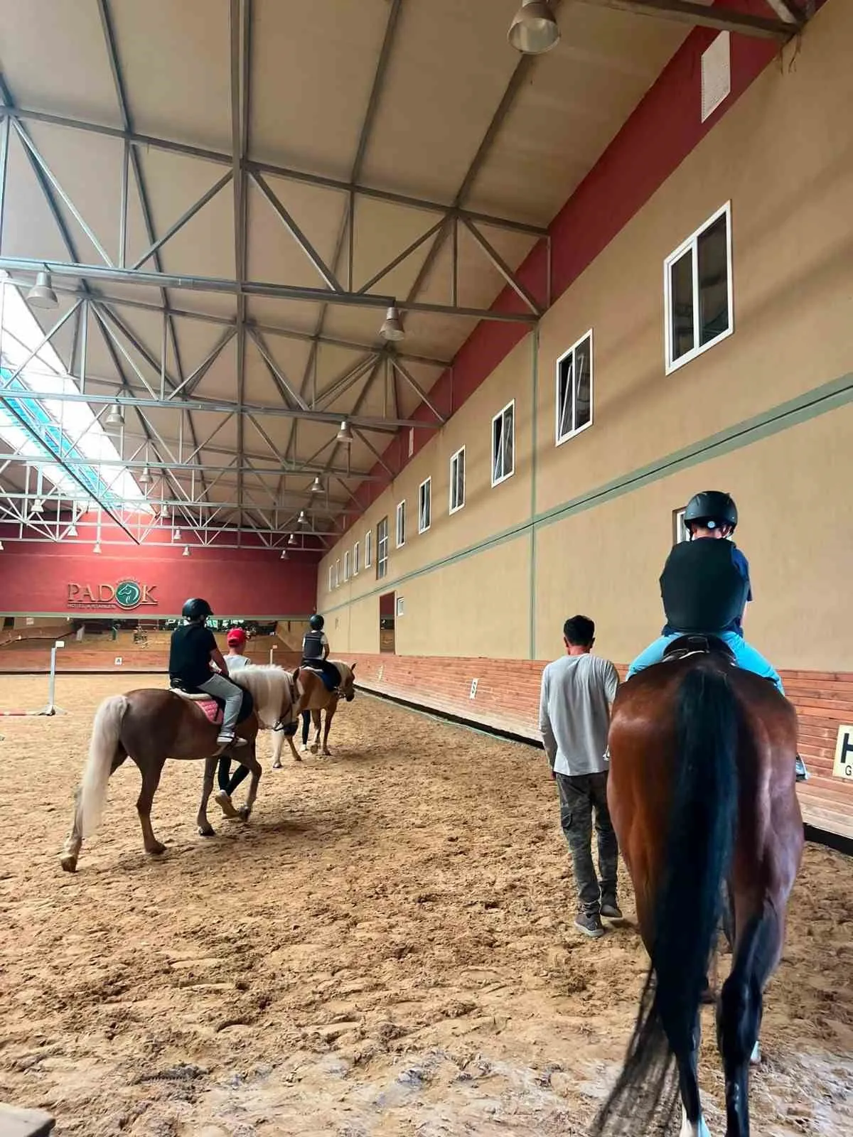 Ekranı değil dizginleri tutuyorlar: Muğla’da çocuklar atlarla sosyalleşiyor