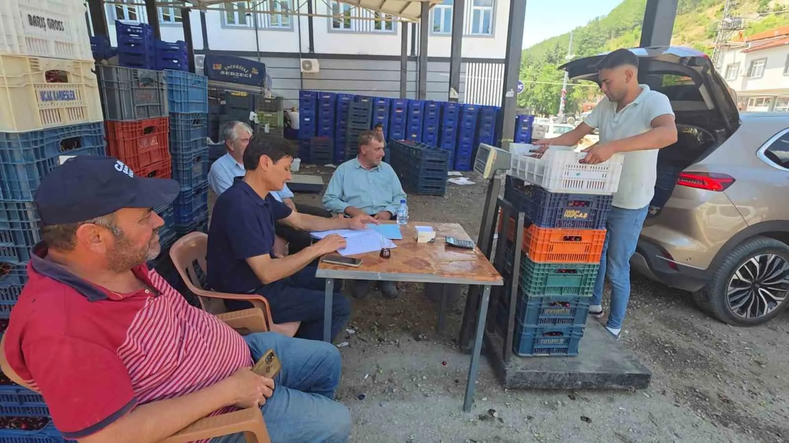 Şaphane’nin kırmızı altınında hasat vakti: Çiftçiden sanayi yatırımı beklentisi