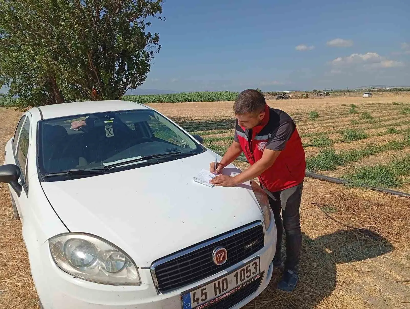 Akhisar ovasında kritik mesai: Uzmanlar tarlaları karış karış denetliyor