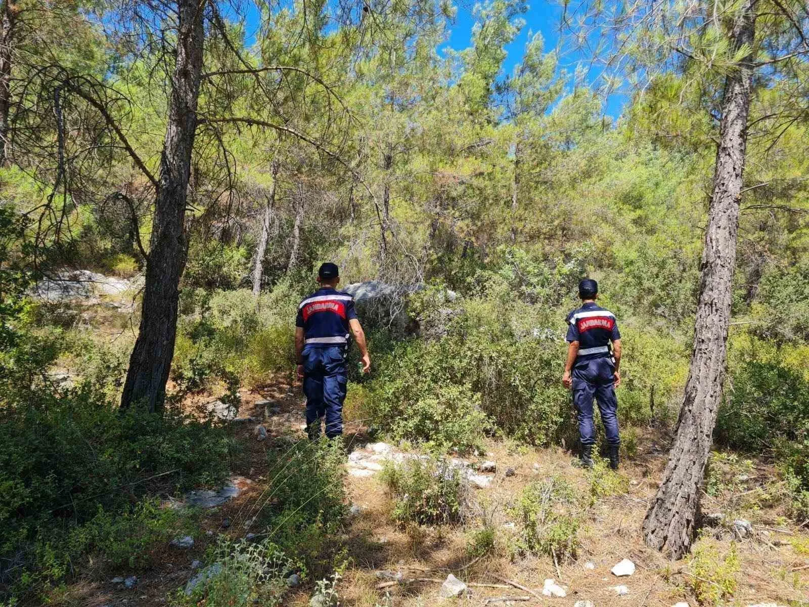 Muğla’da ormanları korumak için dev operasyon: 3 bin kişilik ekip sahada
