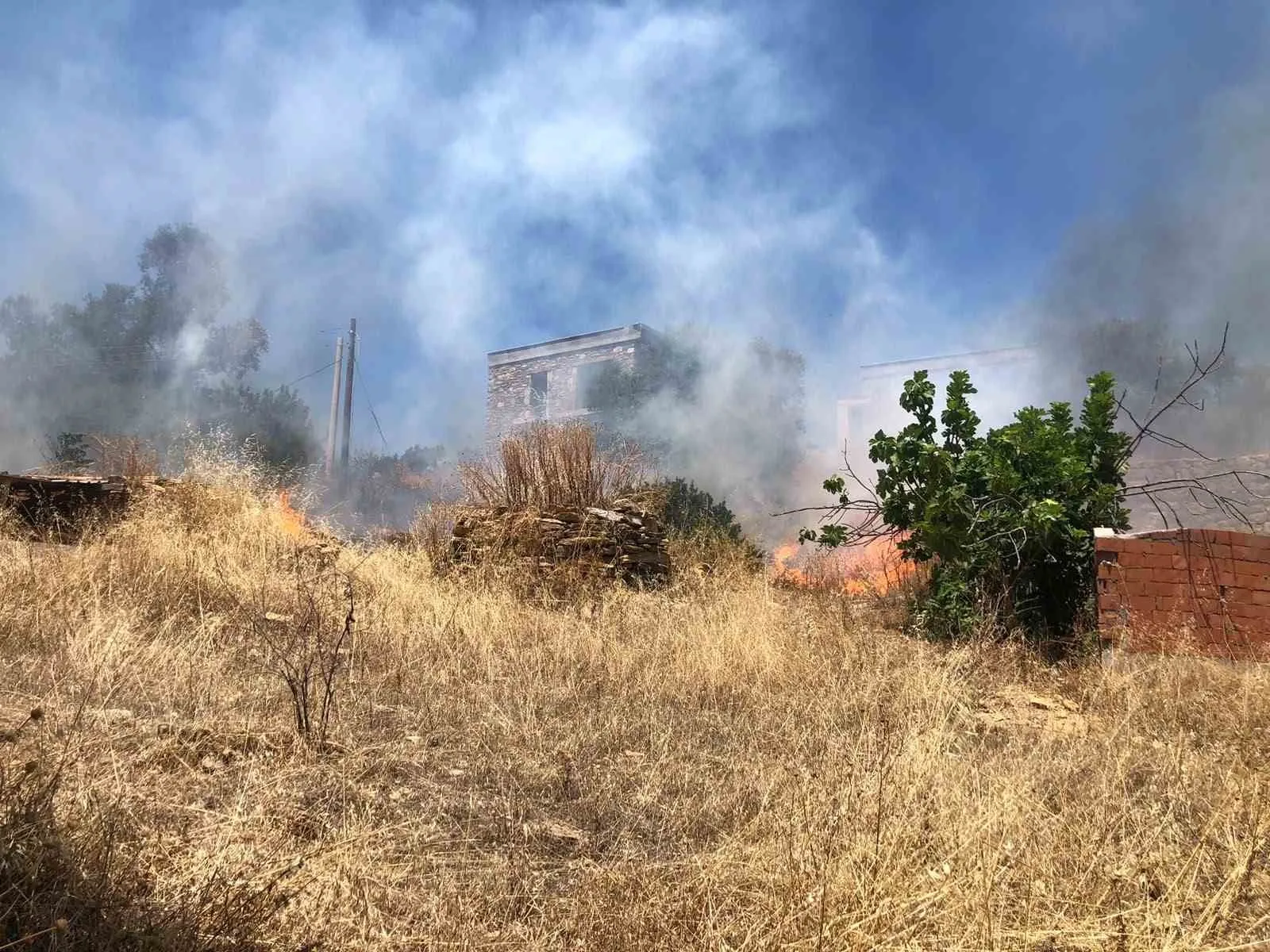 Bodrum'da korkutan yangın: Ekipler alevlere geçit vermedi