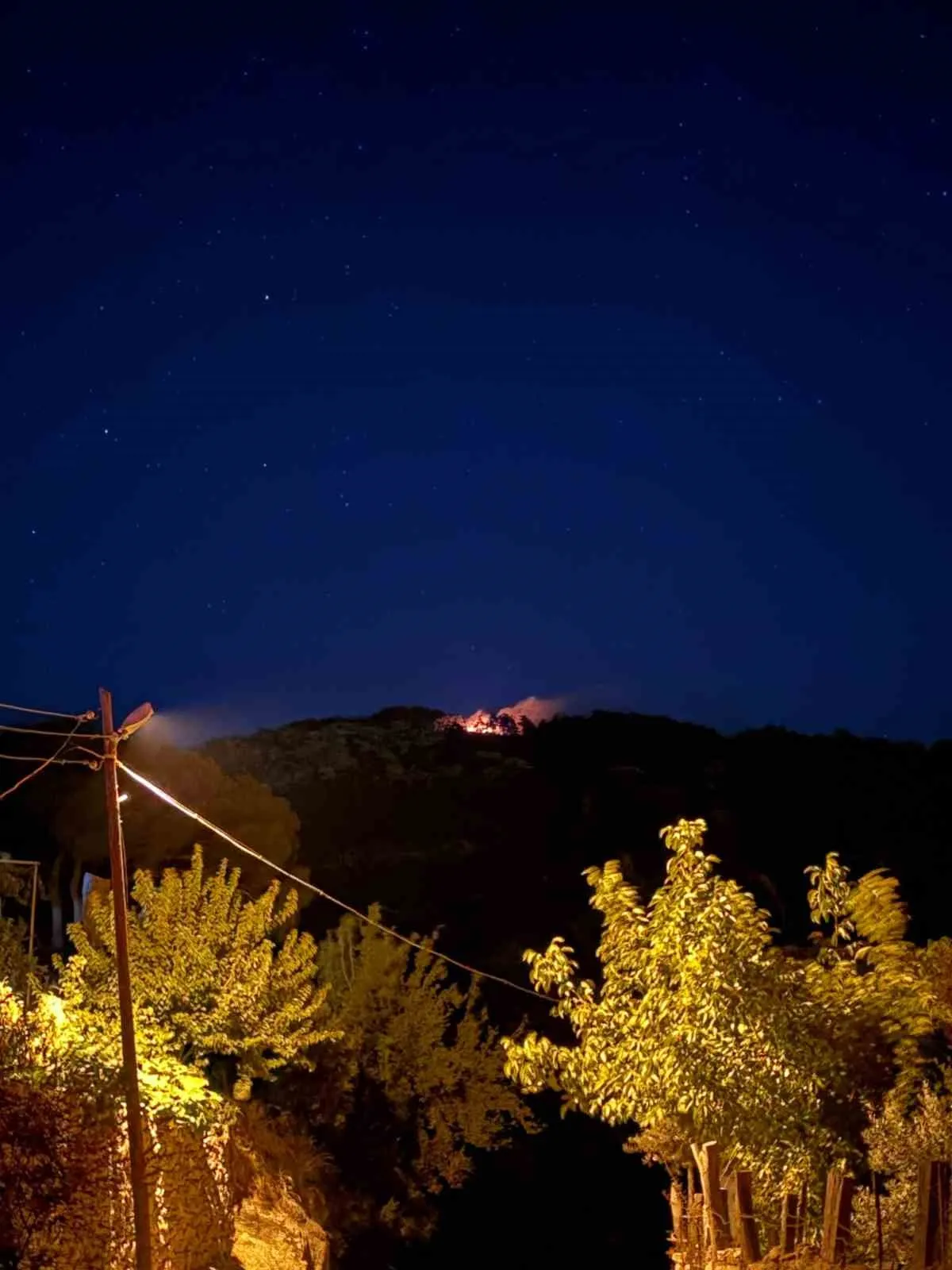 Muğla'da orman yangını paniği: Ekipler alevlerle mücadele ediyor