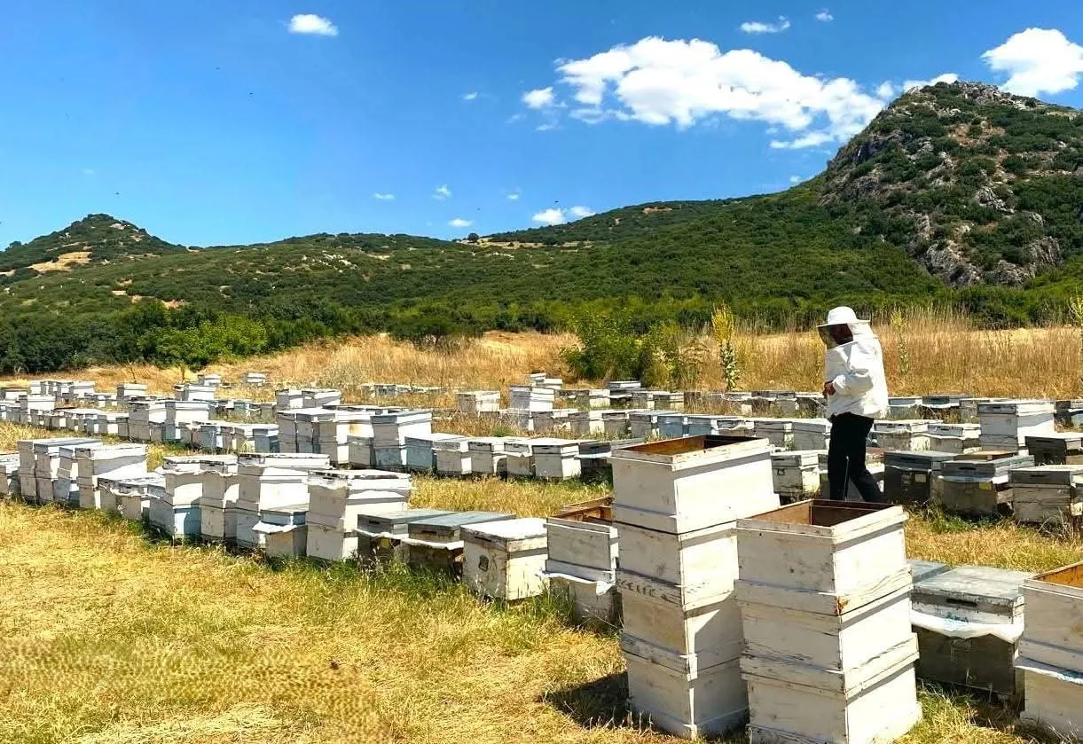 Afyonkarahisar arıcılığında dijital dönüşüm: Kovanlar tek tek denetleniyor